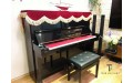 Upright Piano (Piano tường) (0)